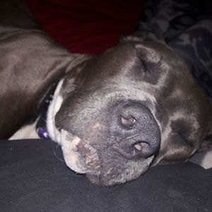 Meet your Posher, Jody